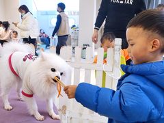 -怪兽屋·羊驼·猫咖·狗咖(俊华广场店)