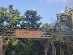 -大屏嶂森林公园