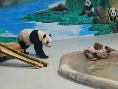 -柳州市动物园