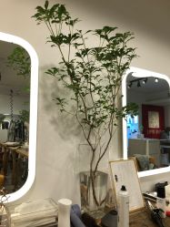 -净漪造型 PURE RIPPLE