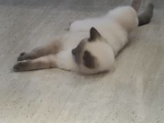 -美迦爱-牙专科·兔科·骨科诊疗中心(北苑店)