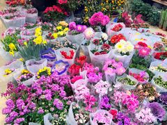 -双季花艺园艺市场(浦东店)