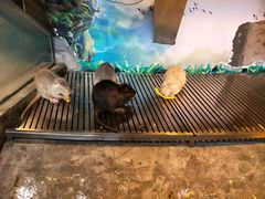 -成都浩海立方海洋公园