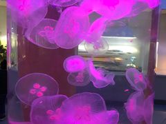 -常州海昌海洋探索馆