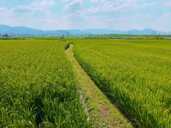 -岚山嵯峨野观光小火车