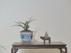 -郭庄景区