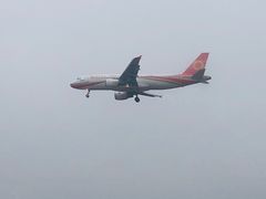 -空港花田景区