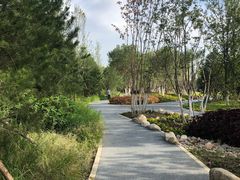 -回龙观体育文化公园