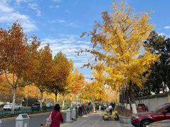 -闸弄口(地铁站)