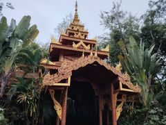 -曼听御花园