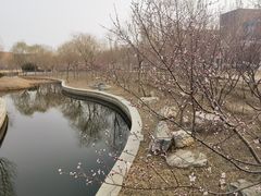 -南开大学(津南校区)