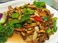 -山菌美食苑(振兴路店)