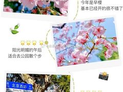 -静安雕塑公园