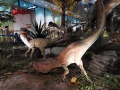 -湖南省地质博物馆