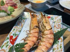 -森味薪火烧•烧鸟居酒屋•日本料理(望京店)