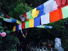 -丽江束河古镇-石莲古寺