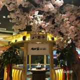 当然以肉为主，各种牛肉都是我的喜好