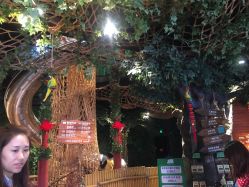 -奇幻丛林(佛罗伦萨小镇店)