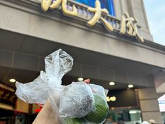 -沈大成(南京东路店)