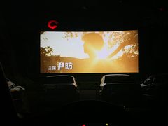 -枫花园汽车电影院(朝阳公园店)