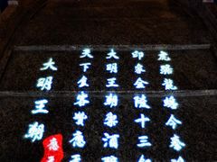 -应天大明王朝·南京菜(中山陵店)