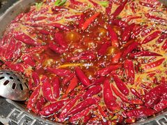 -渝大狮毛肚老火锅(普陀店)