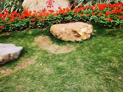 -广州市白云山风景名胜区