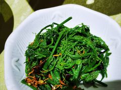 虫草花丝瓜尖-德缘烤鸭店(大栅栏店)