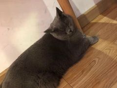 -壹人壹像工作室(购物公园店)