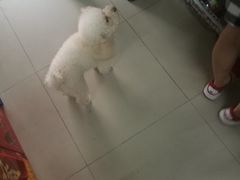 -天兴居(大兴店)