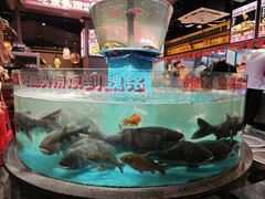 -魏铭鱼头捞饭(晋阳路店)