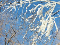 -葫芦古镇关东民俗雪乡