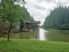 -黄海国家森林公园