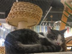 -小时光咖啡馆(开森度假森林店)