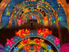 -欢乐海岸椰林沙滩-2025湾区超级灯会