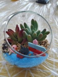 -卓玥国际月子会所(罗山路店)