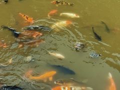 -敬亭山风景名胜区