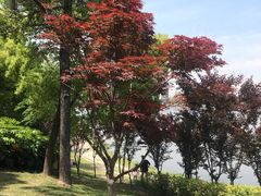 -美兰湖景区