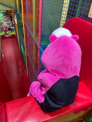 -宝燕乐园(闵行旗舰店)