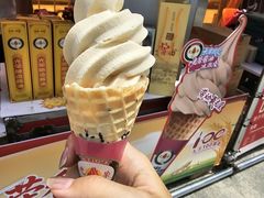 -鹏欣水游城