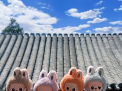 -BE YOLO必有乐&小红帽三明治