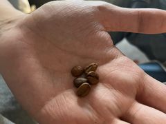 -SeekSeeking咖啡专门店(堰塘街店)