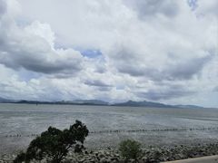 -深圳湾公园(南山区)