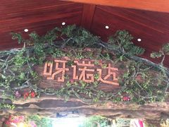 -呀诺达热带雨林