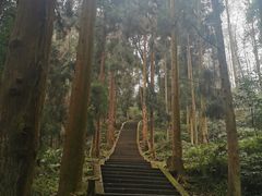 -峨眉山风景名胜区