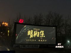 -枫花园汽车电影院(朝阳公园店)