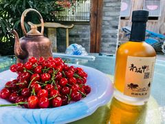 自酿猕猴桃美酒-青城甲(青城山店)