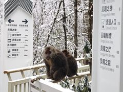 -海螺沟风景区