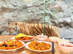 -栾川竹海野生动物园