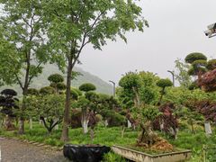 -山水间小院